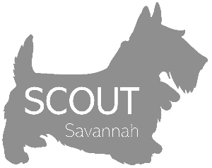 Scout Savannah